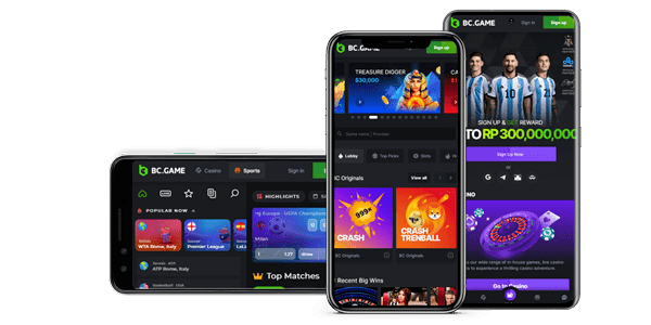 Discover the Thrill of BC Game Crypto Casino A New Era in Online Gaming